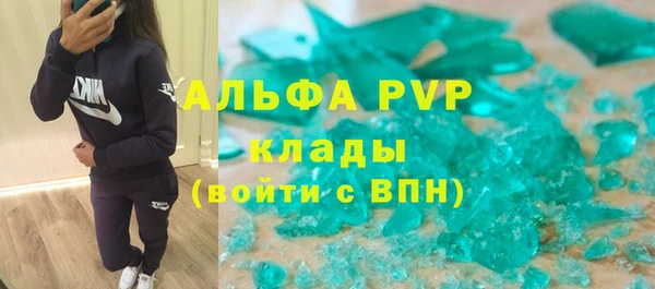 прущие грибы Новозыбков