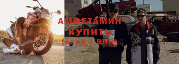 прущие грибы Новозыбков
