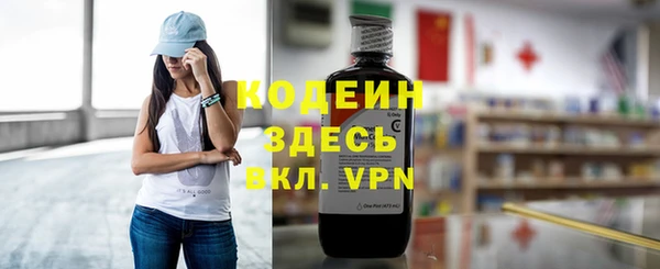 прущие грибы Новозыбков