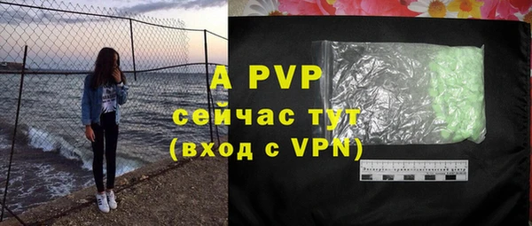 прущие грибы Новозыбков