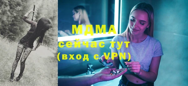 прущие грибы Новозыбков
