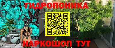 PSILOCYBIN Заволжье