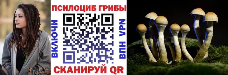 Псилоцибиновые грибы MAGIC MUSHROOMS  закладка  Каменск-Уральский 