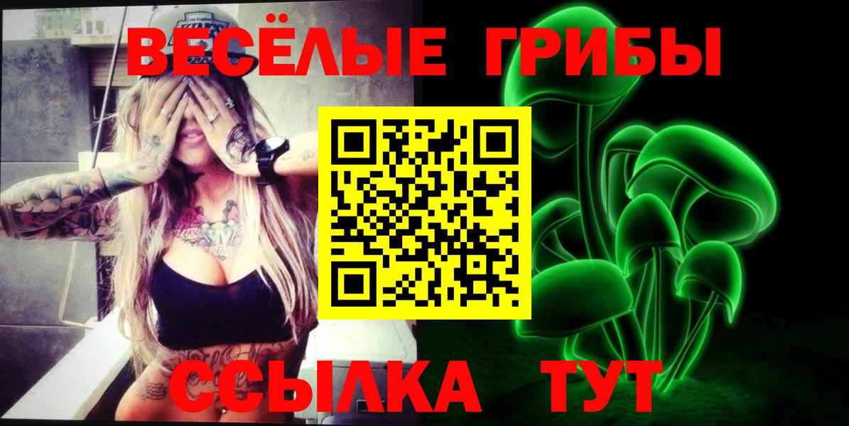 Галлюциногенные грибы мухоморы Каменск-Уральский